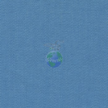 CT-19